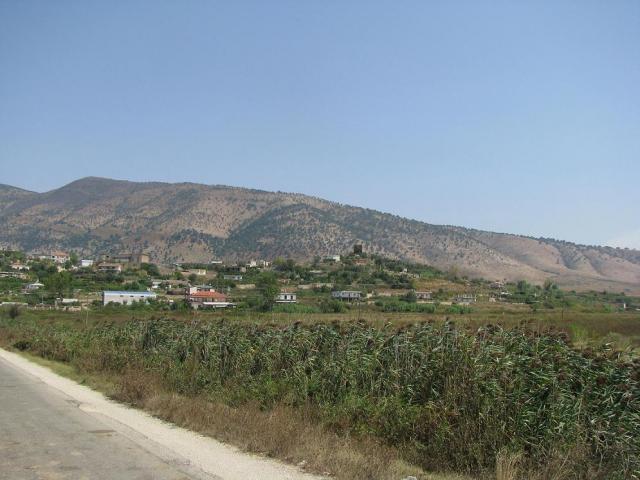 tzara